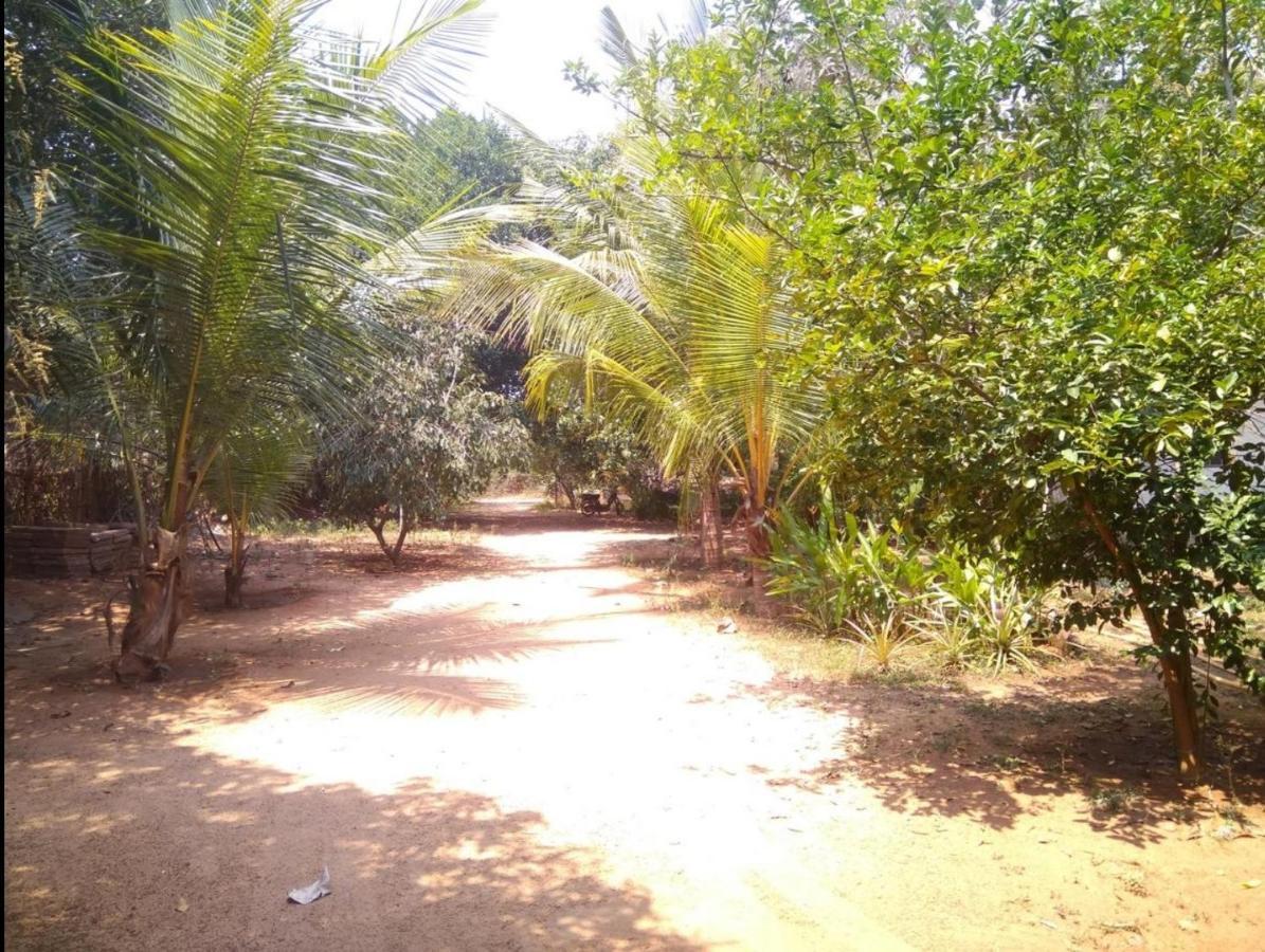 Eden Garden Farm * Auroville